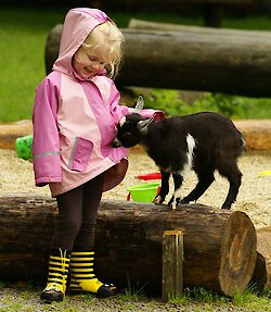 Kind mit Ziege im Wildpark